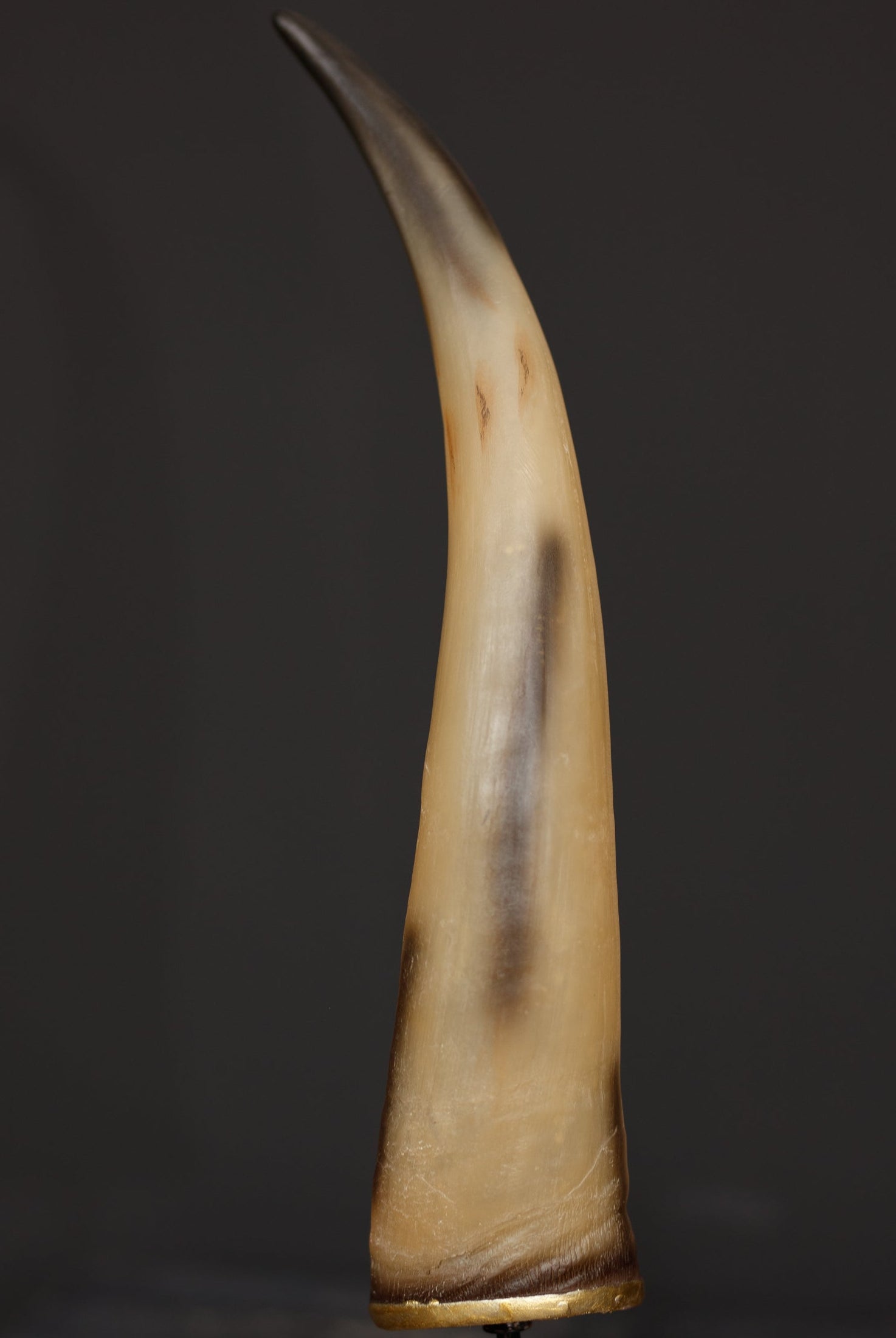 Zaira Large Sculpture