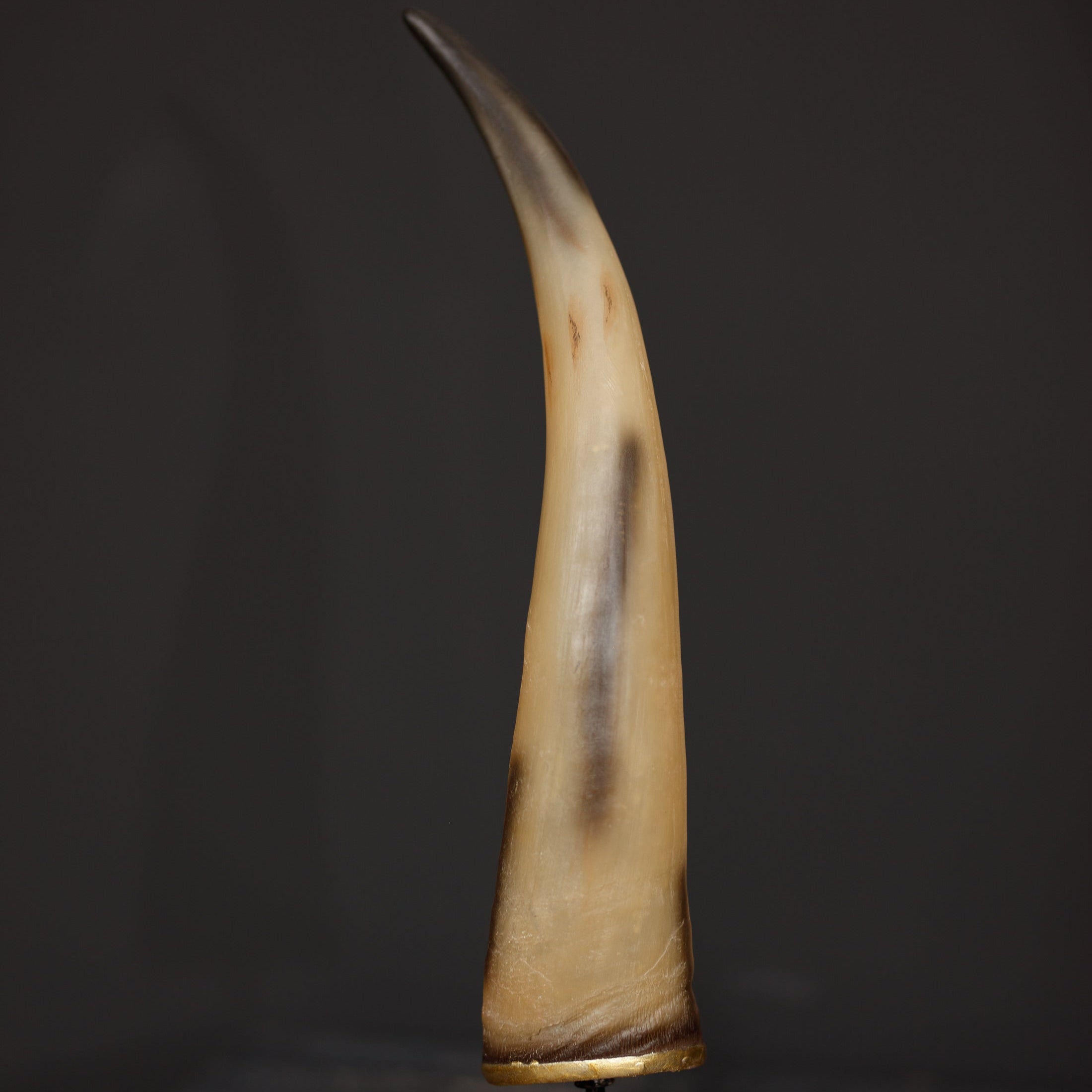 Zaira Large Sculpture 