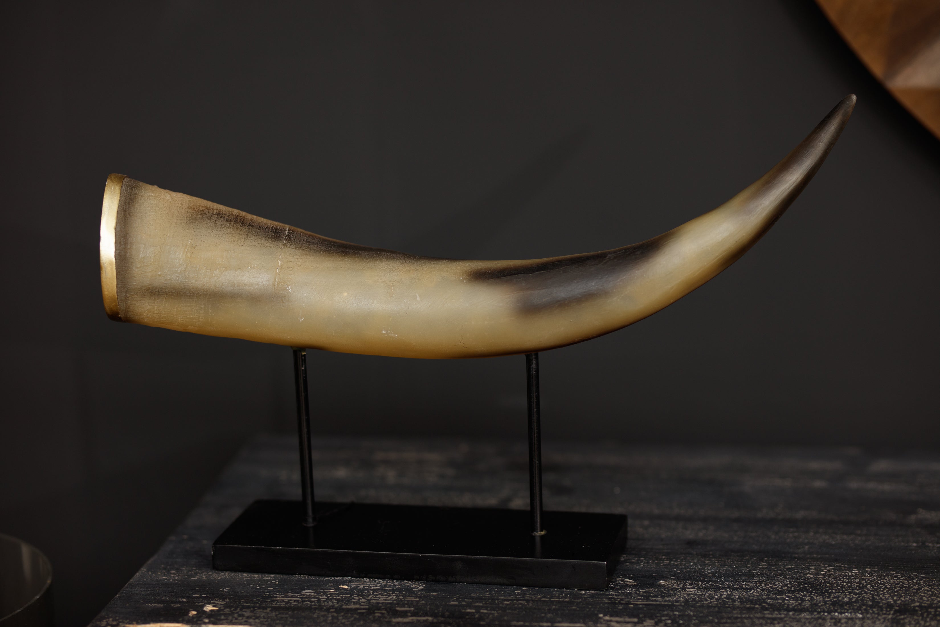 Zaira Horn Sculpture 
