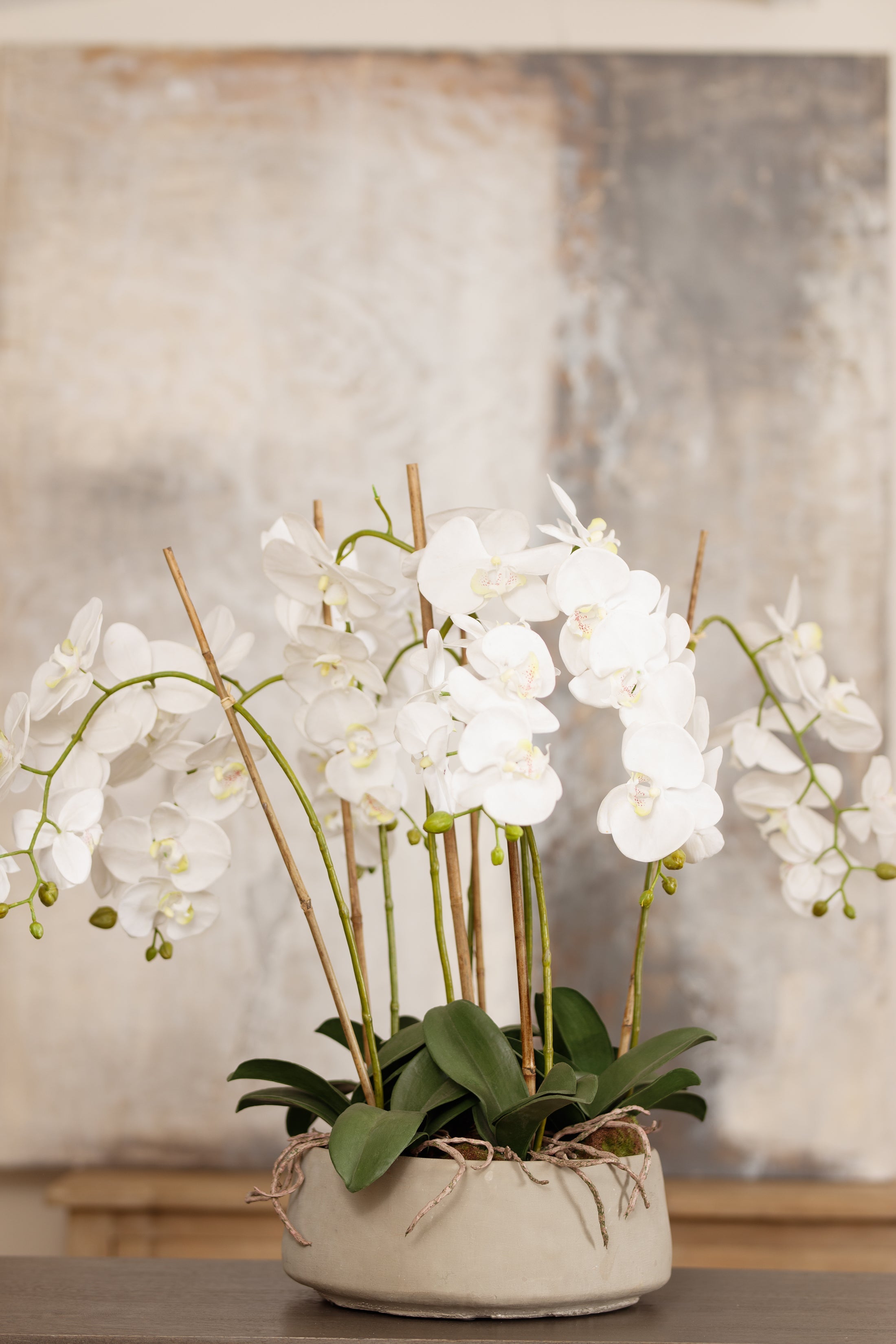 Brierly Large White Orchid in Stone Pot 