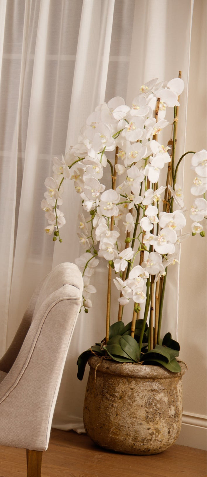 Ashbury Large White Orchid In Antique Stone Pot 
